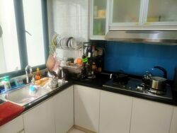 Hillview Green (D21), Condominium #545805381